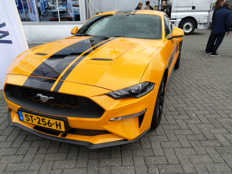 bumblestang